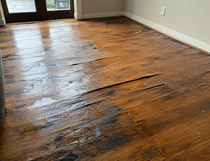Water damaged hardwood floor in a Silver Spring, MD home